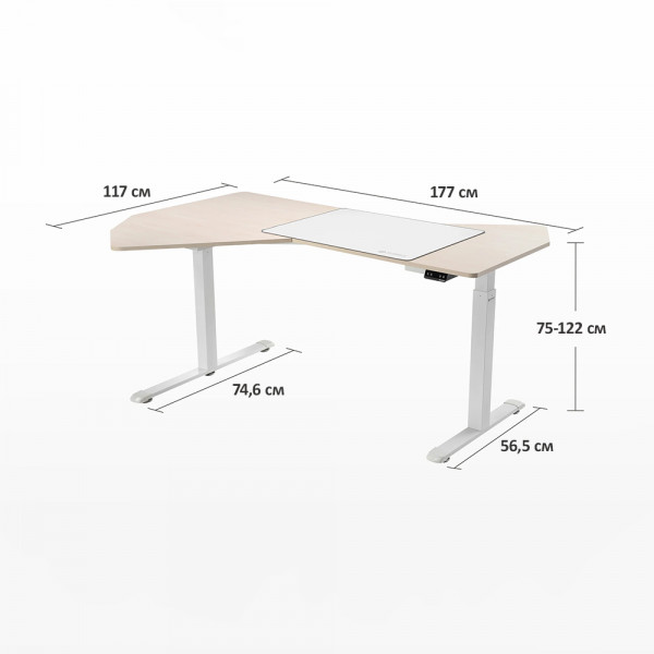 Eureka Ergonomic EDI FS Office Standing Desk, Oak  